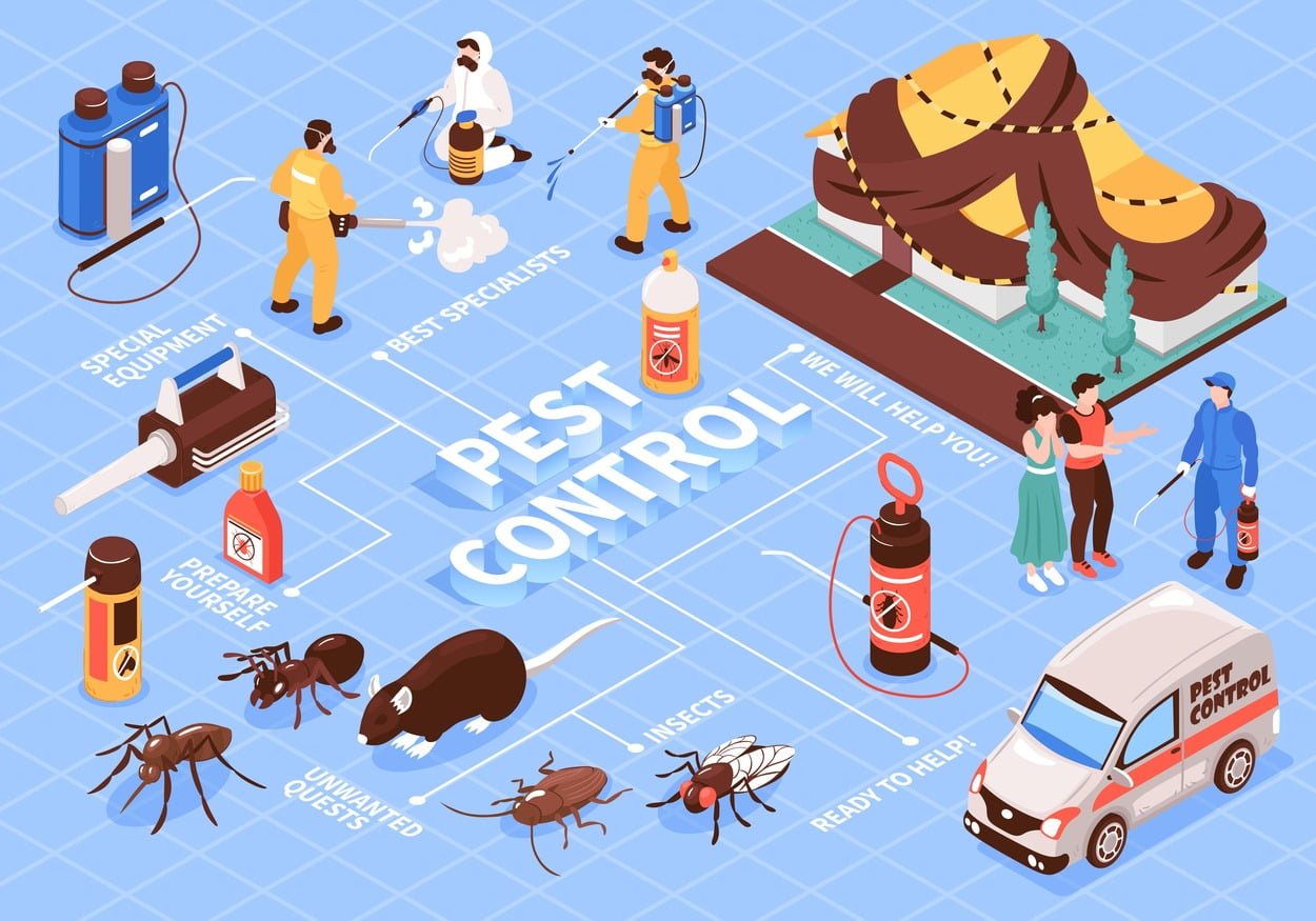 Local SEO for Pest Control