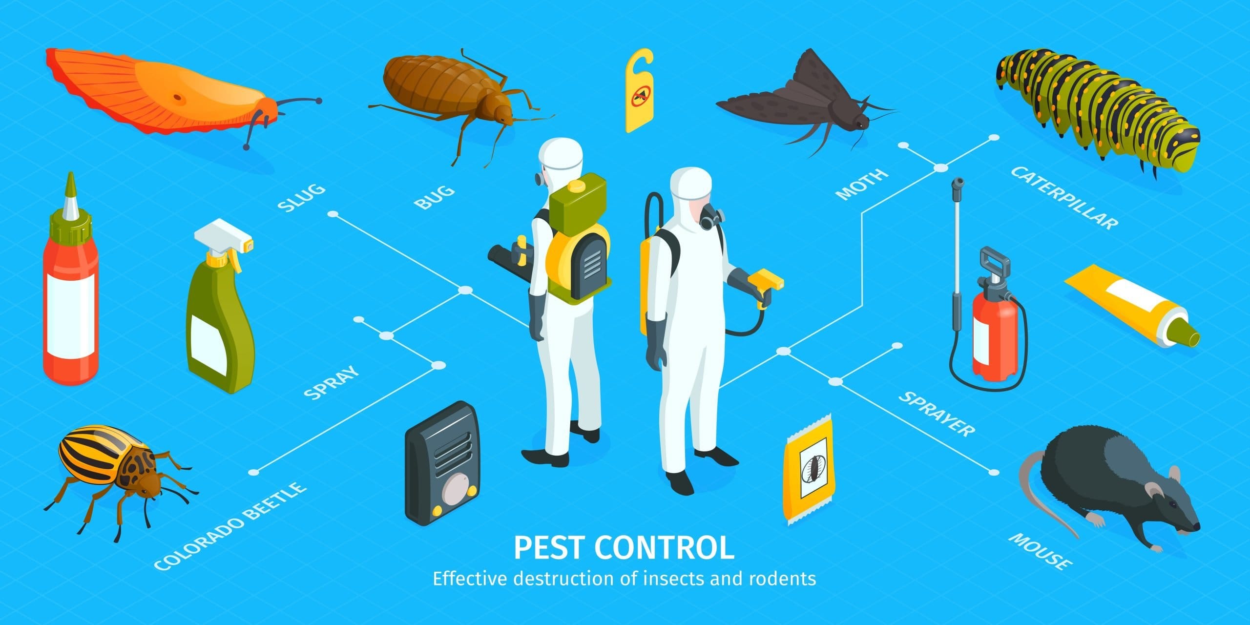 SEO for Pest Control Companies